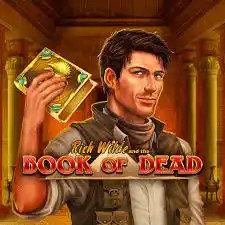 Enjoy Book of Dead by Play&#039;n GO – logo hosted on casino-rewards.nl